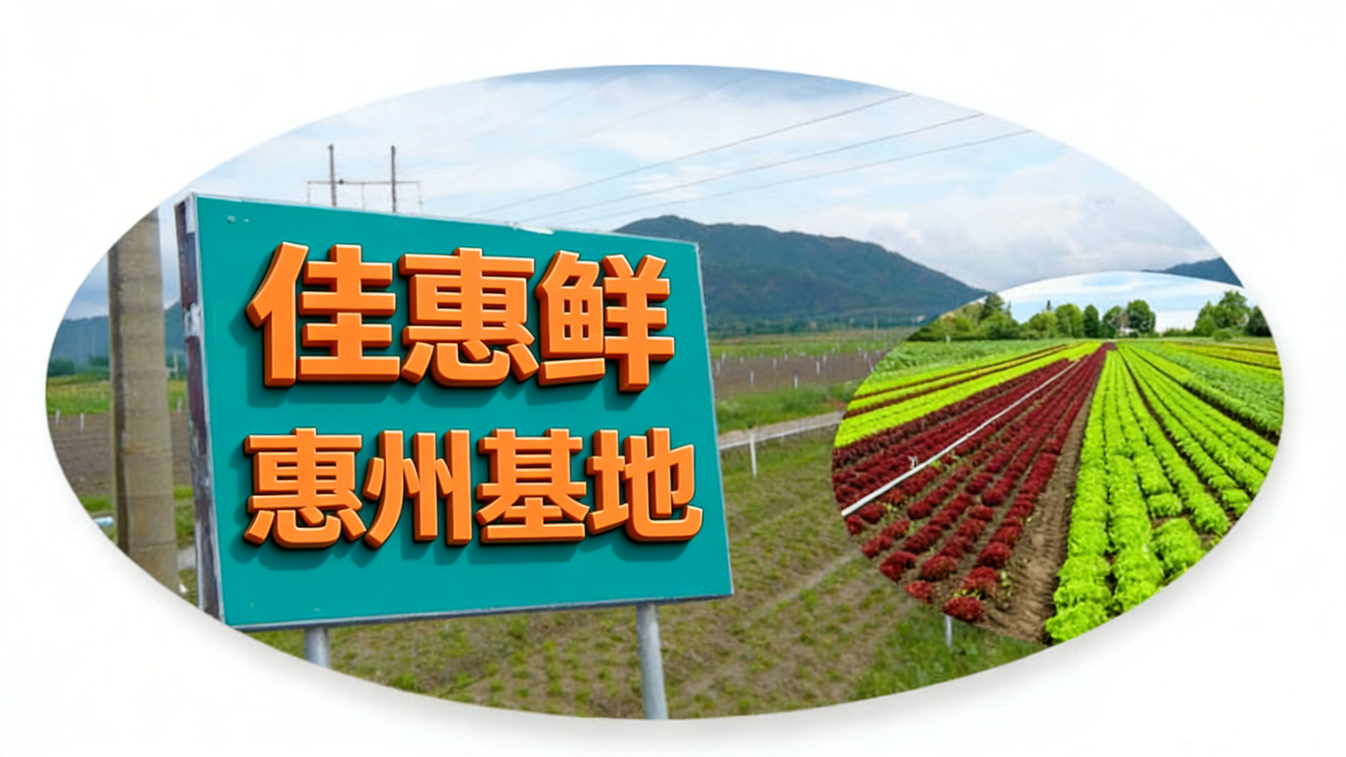 價格優勢