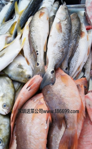 1765200884.png 微信圖片_20251208212255_164_3.png