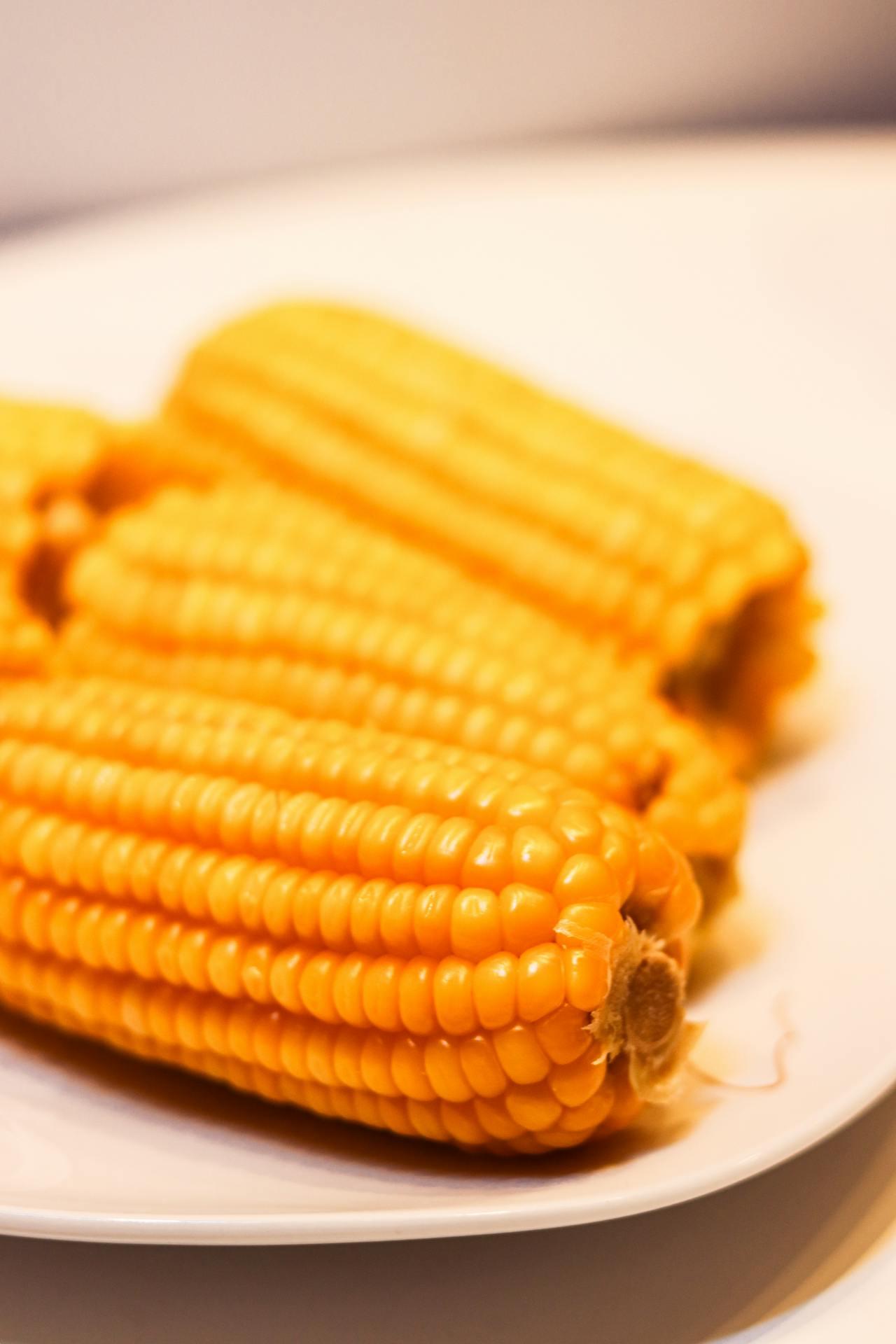 為什么煮玉米時，甜玉米比糯玉米熟得快？惠州食材配送中心為您科普